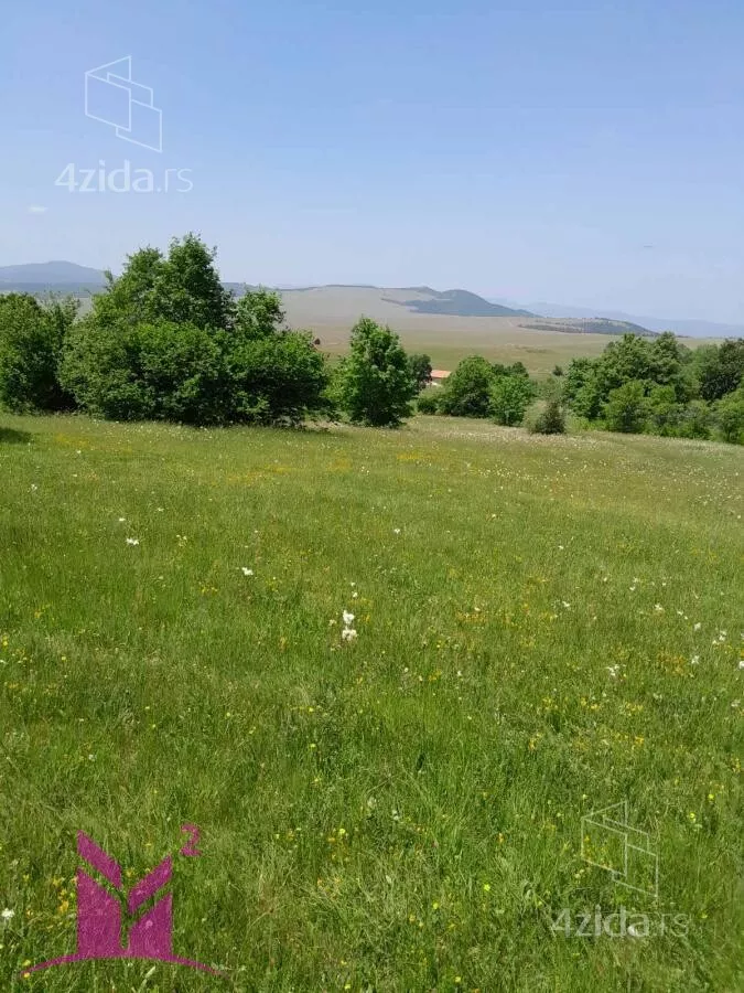 Plac | 4zida