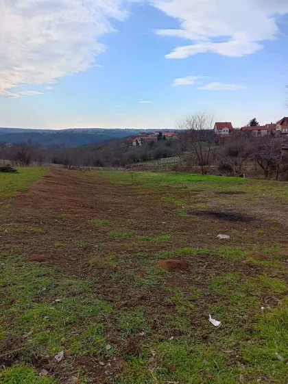 Hrastov Zapis | 4zida.rs