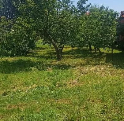 Plac | 4zida