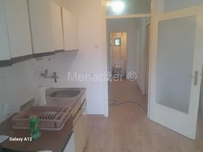 Žila Verna | 4zida.rs