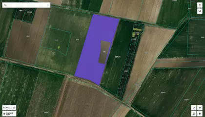 Baće Trifunovića | 4zida.rs