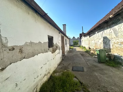 Vojlovica | 4zida.rs