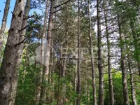 Berbatovo, Okolne lokacije, Niš | 4zida.rs