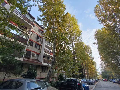 Mirka Banjevića | 4zida.rs