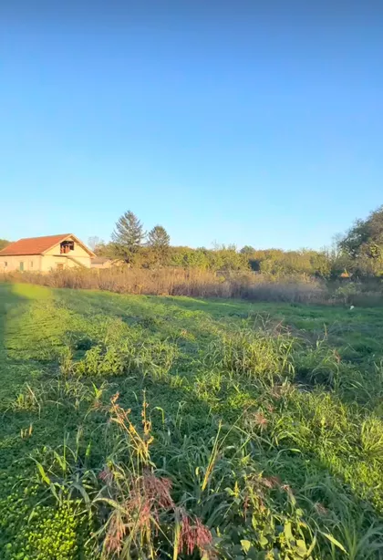 Mileševska | 4zida.rs