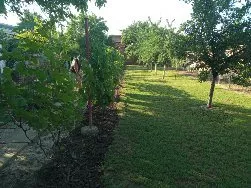 Čika Ljubina 26 | 4zida.rs