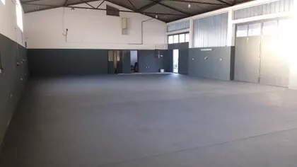 Cara Dušana | 4zida.rs