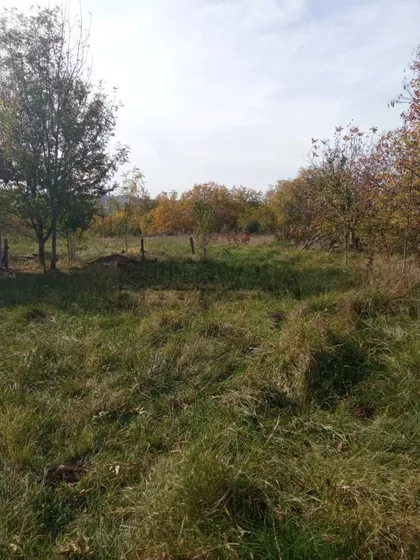 Veliko Krčmare | 4zida.rs