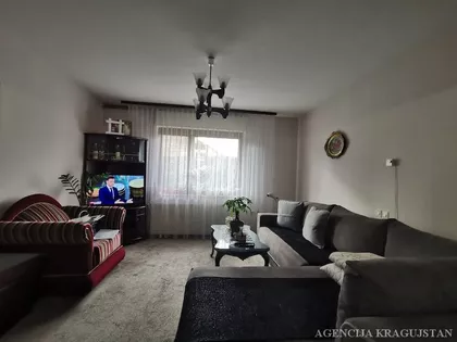 Šumarice | 4zida.rs