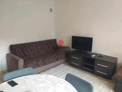 Zaplanjska | 4zida.rs