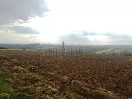 Kosinac | 4zida.rs