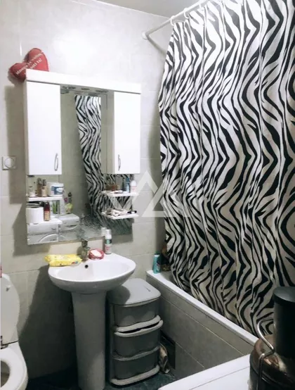 Pilota Mihajla Petrovića | 4zida.rs