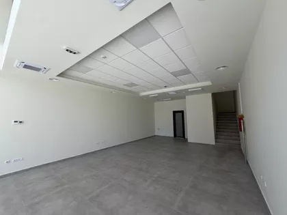Miodraga Vlajića Šuke | 4zida.rs