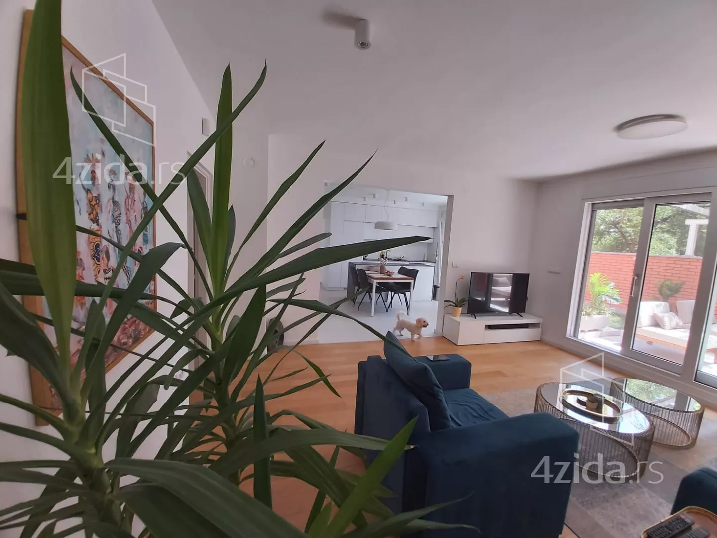 Petosoban stan | 4zida