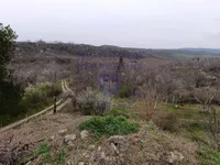 Maradik, Okolne lokacije, Inđija | 4zida.rs
