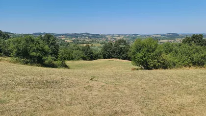 Trbušnica | 4zida.rs