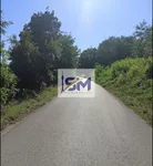 Plac | 4zida