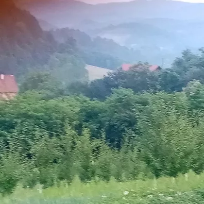 Tršić | 4zida.rs