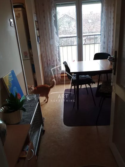 Vlade Aksentijevića | 4zida.rs