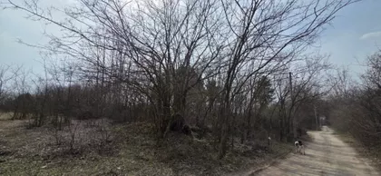 Srpski Šor | 4zida.rs