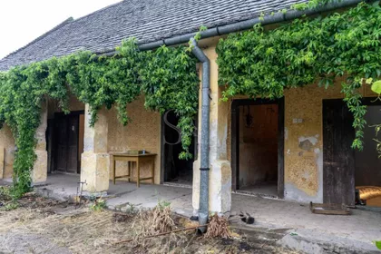 Riđica | 4zida.rs