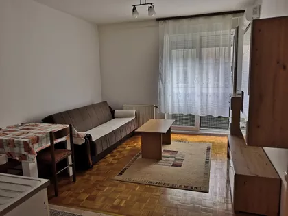 Dr Svetislava Kasapinovića | 4zida.rs