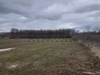 Male Pčelice, Gradske lokacije, Kragujevac | 4zida.rs