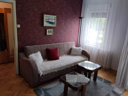 Dragoslava Srejovića | 4zida.rs