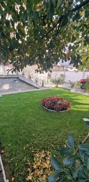 Vojvođanska | 4zida.rs
