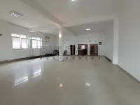 Pasi Poljana, Palilula, Gradske lokacije, Niš | 4zida.rs