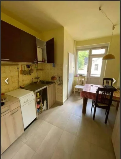 Petra Drapšina | 4zida.rs