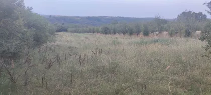Vlaška | 4zida.rs