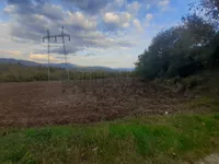 Vinik, Pantelej, Gradske lokacije, Niš | 4zida.rs