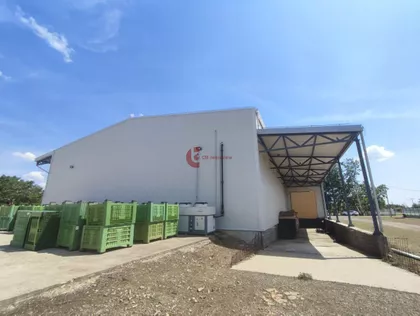 Bački Vinogradi | 4zida.rs
