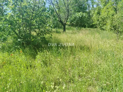 Novi Slankamen | 4zida.rs