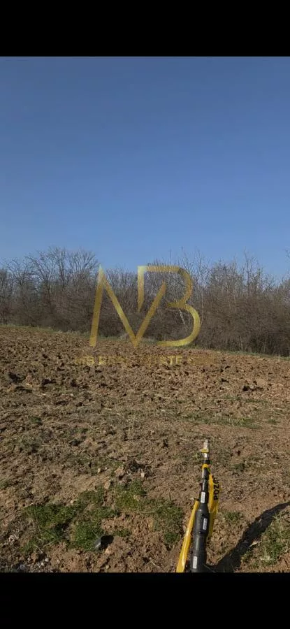 Radoja Prvulovića | 4zida.rs