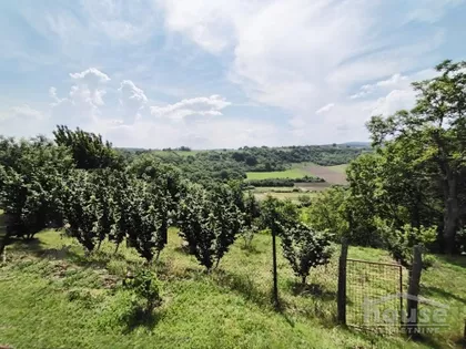 Velika Remeta | 4zida.rs
