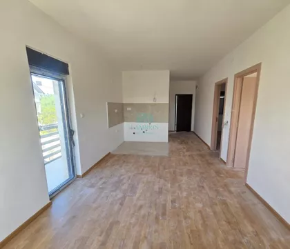 Dušana Dude Timotijevića | 4zida.rs
