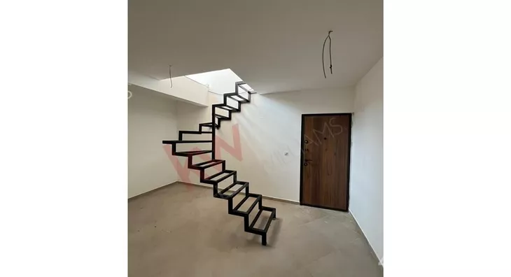 Lokal | 4zida