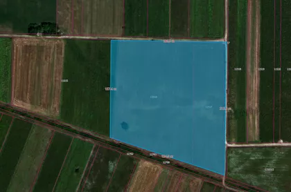 Vojvode Mišića | 4zida.rs