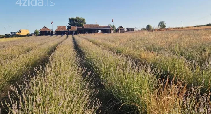 Poljoprivredno zemljište | 4zida