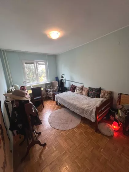 Dr Ivana Ribara | 4zida.rs