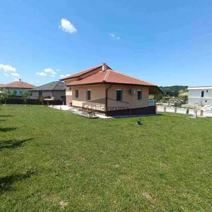 Marka Katića | 4zida.rs