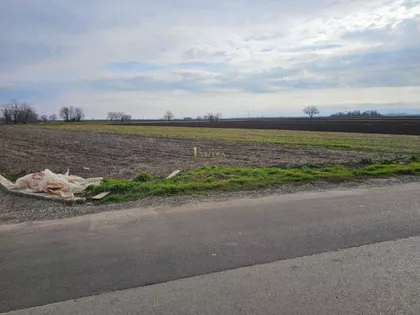 Kisač | 4zida.rs