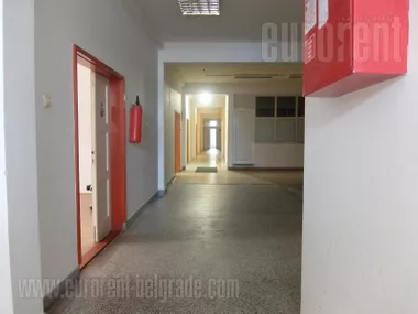 BEŽANIJSKA KOSA 1