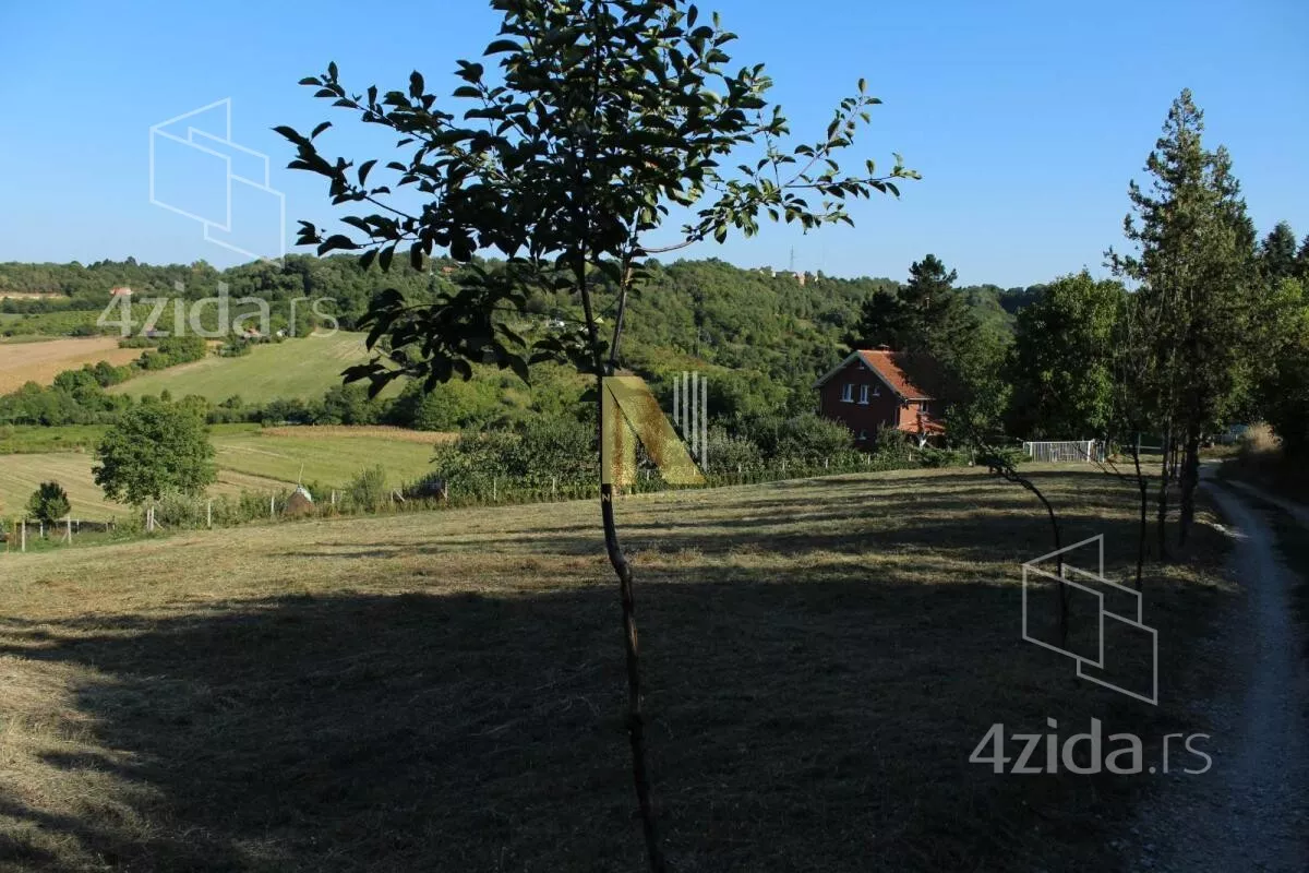 Plac | 4zida