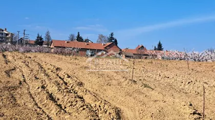 Brestovnik | 4zida.rs