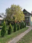 Gradske lokacije, Inđija | 4zida.rs | 4zida.rs