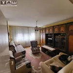 Kragujevac, Gradske lokacije, Erdoglija | 4zida.rs | 4zida.rs