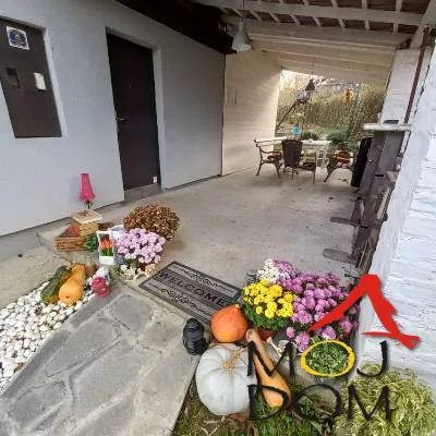 Čerević | 4zida.rs